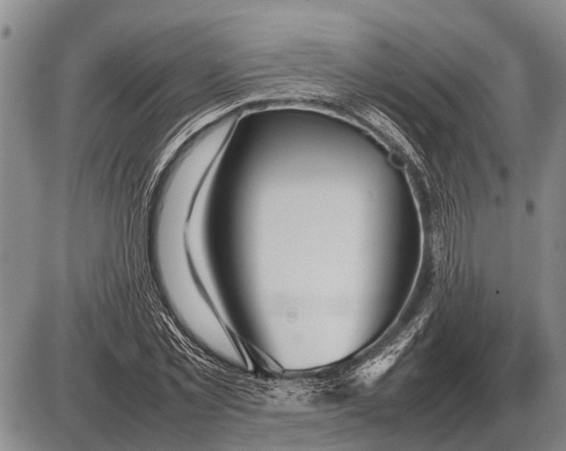 X0000085270781200703231740