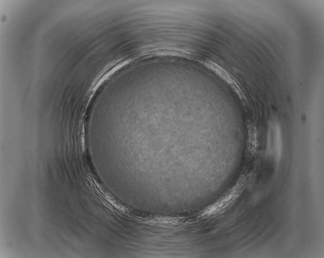 X0000085270782200703231740