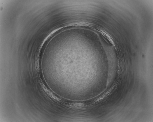 X0000085270784200703231740