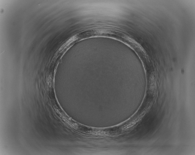 X0000085270785200703231740