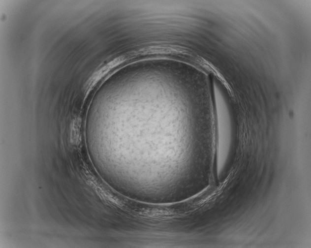 X0000085270786200703231740