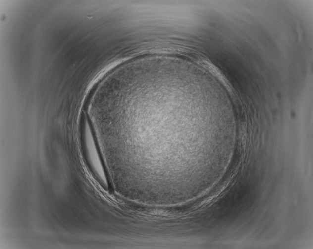 X0000085270787200703231740