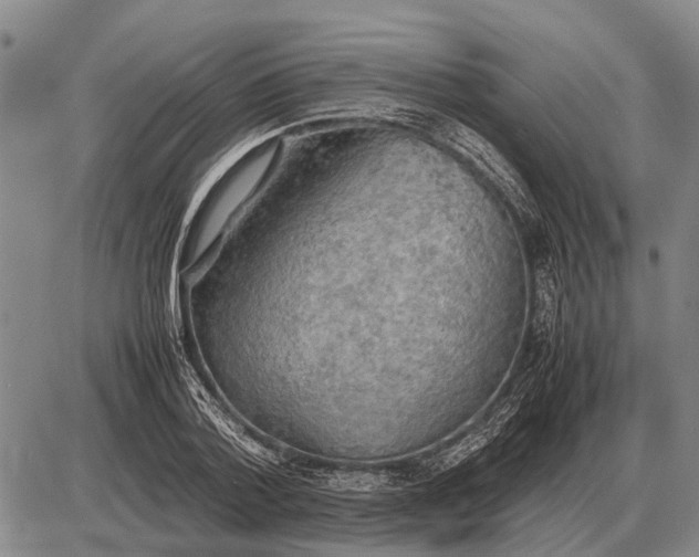 X0000085270788200703231740