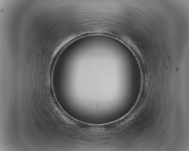 X0000085270789200703231740