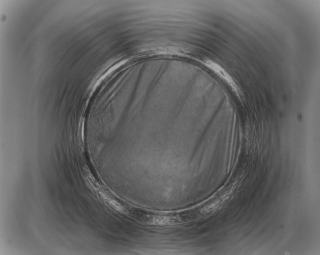 X0000085270790200703231740