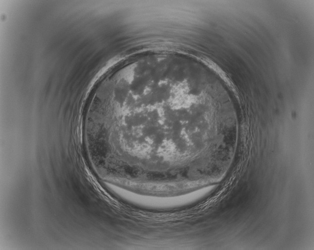 X0000085270791200703231740