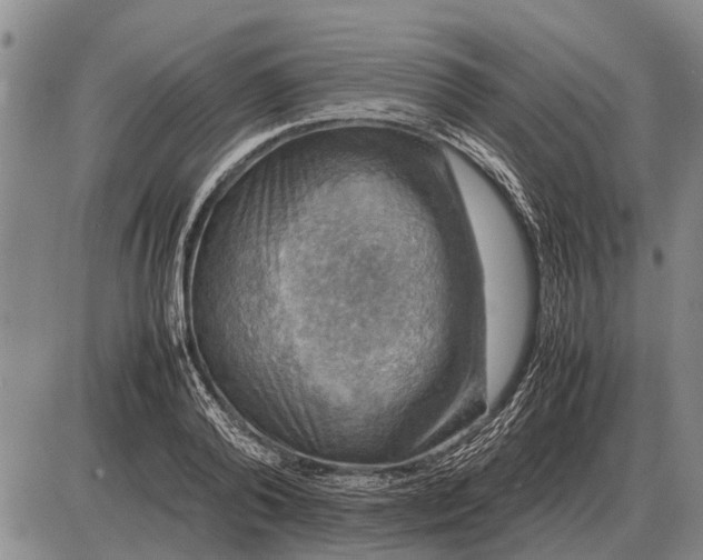 X0000085270792200703231740