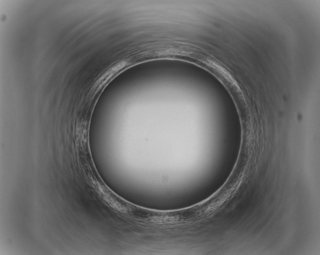 X0000085270793200703231740