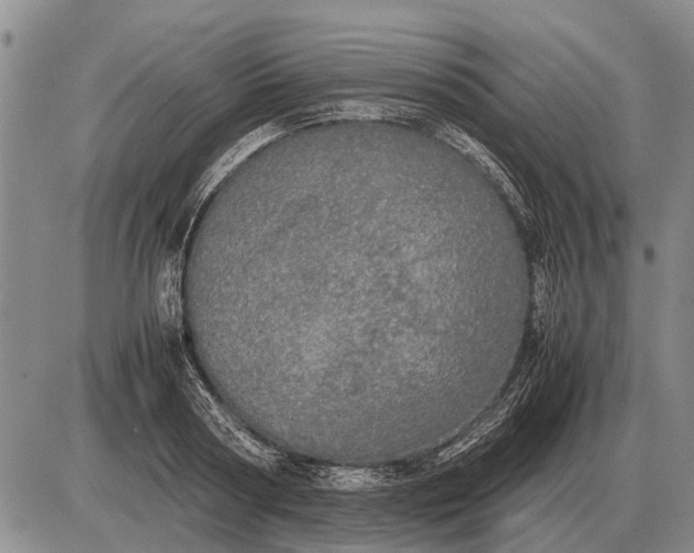 X0000085270794200703231740