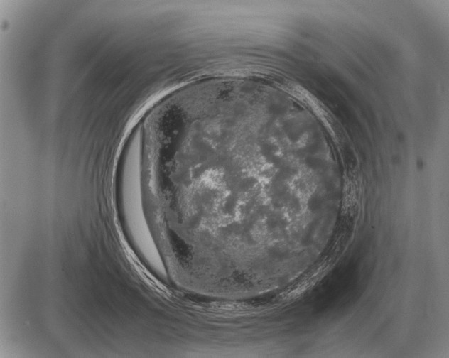 X0000085270795200703231739