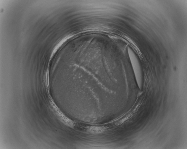 X0000085270796200703231739