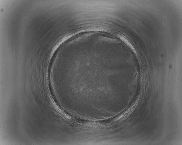 X0000085270797200703231739