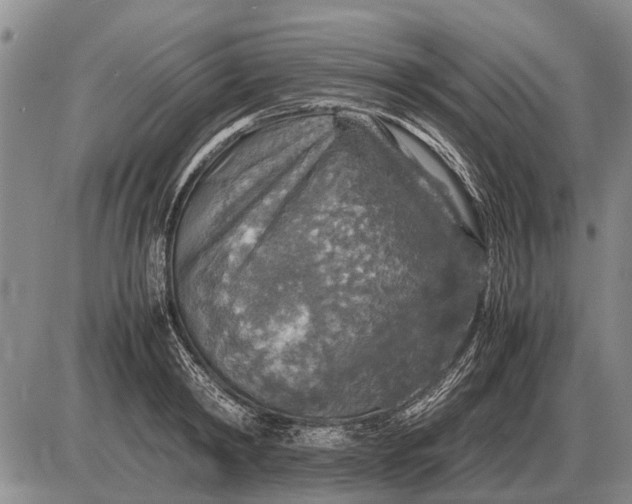 X0000085270798200703231739