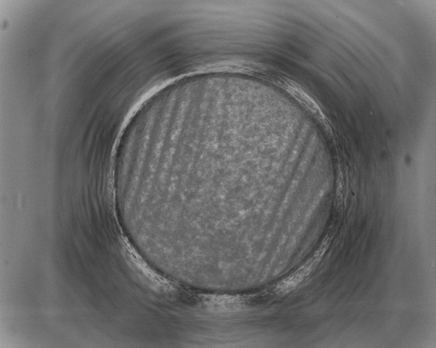 X0000085270800200703231739