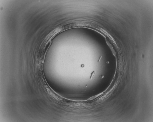 X0000085270801200703231739