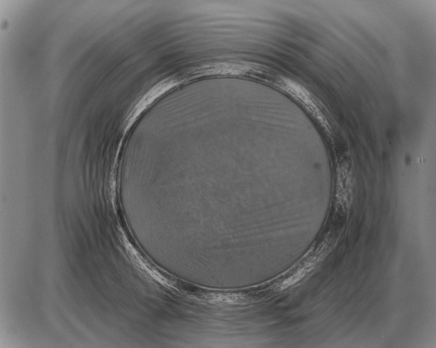 X0000085270802200703231739