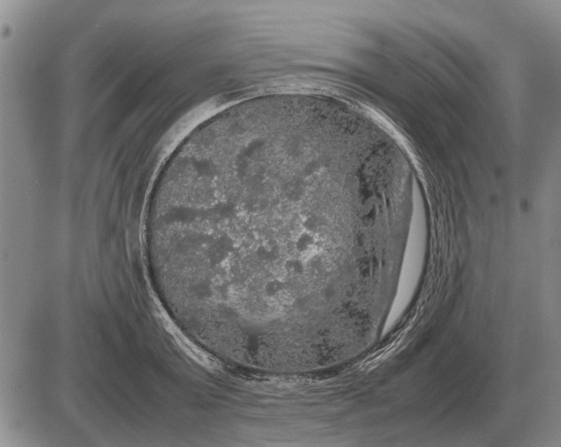 X0000085270803200703231739