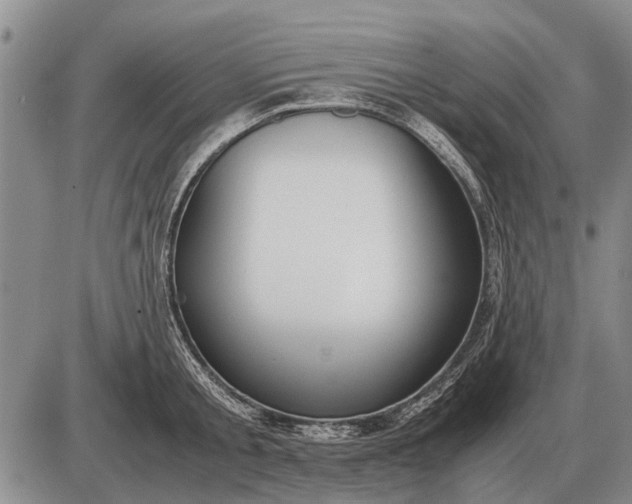 X0000085270805200703231739