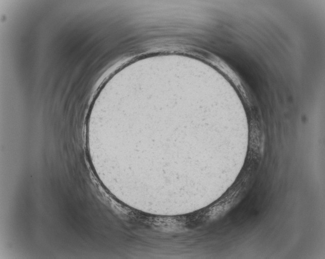 X0000085270807200703231739