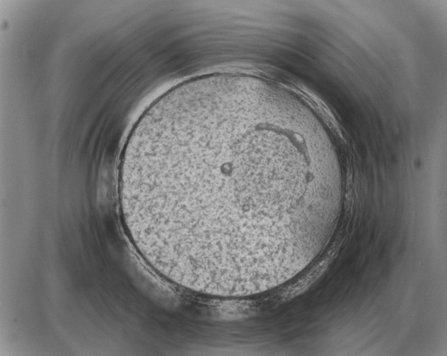 X0000085270808200703231739