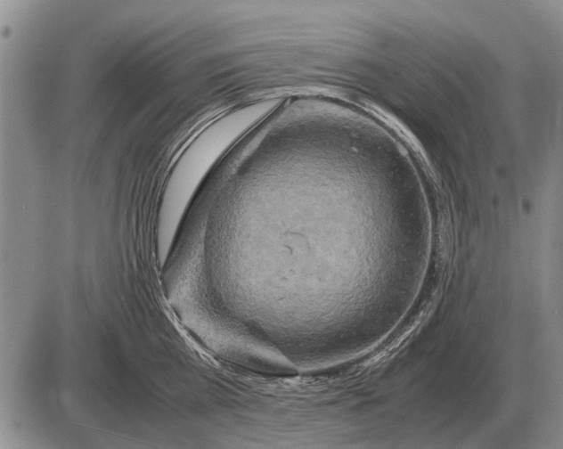 X0000085270809200703231739