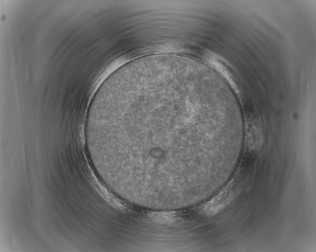 X0000085270810200703231739