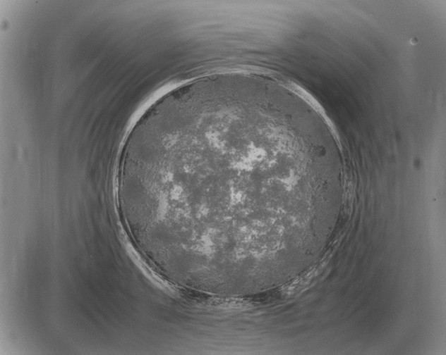 X0000085270811200703231739