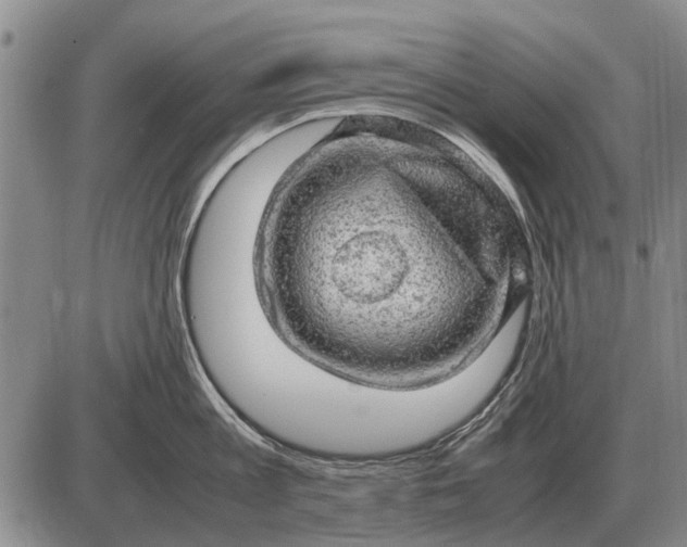 X0000085270813200703231739