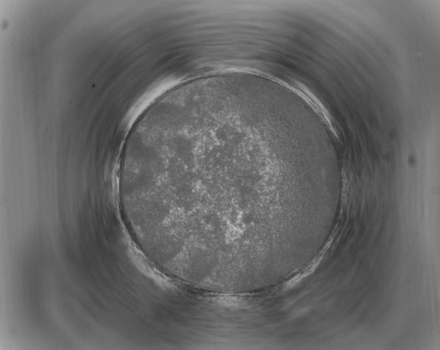 X0000085270814200703231739