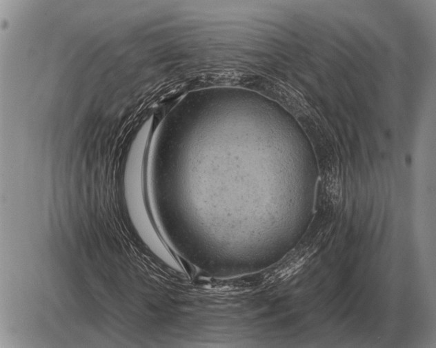 X0000085270818200703231738