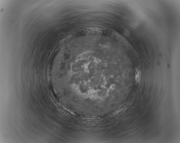 X0000085270819200703231738