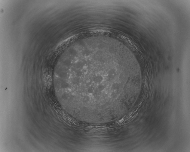 X0000085270821200703231738