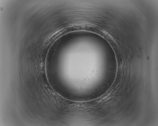 X0000085270822200703231738