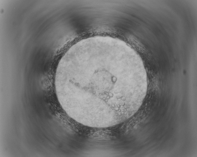 X0000085270824200703231738