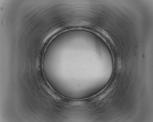 X0000085270826200703231739