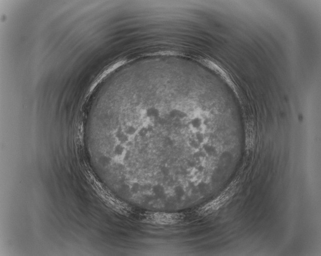 X0000085270827200703231739