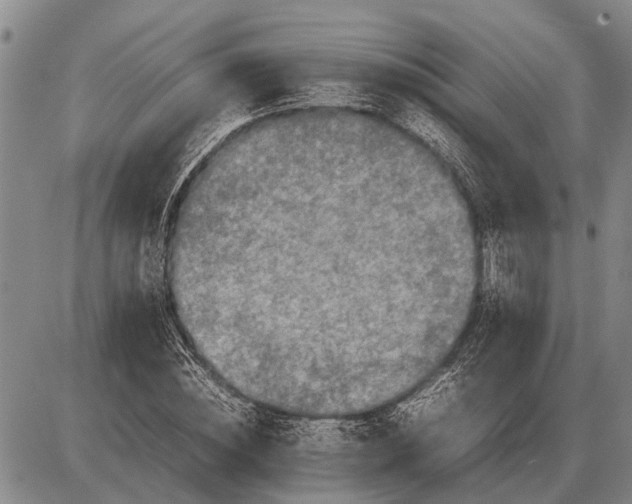 X0000085270828200703231739