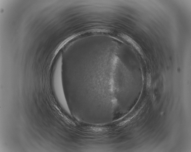 X0000085270829200703231739