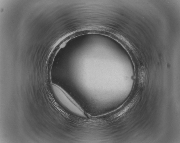 X0000085270830200703231739