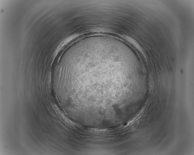 X0000085270831200703231739