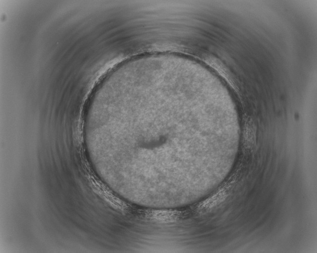 X0000085270832200703231739