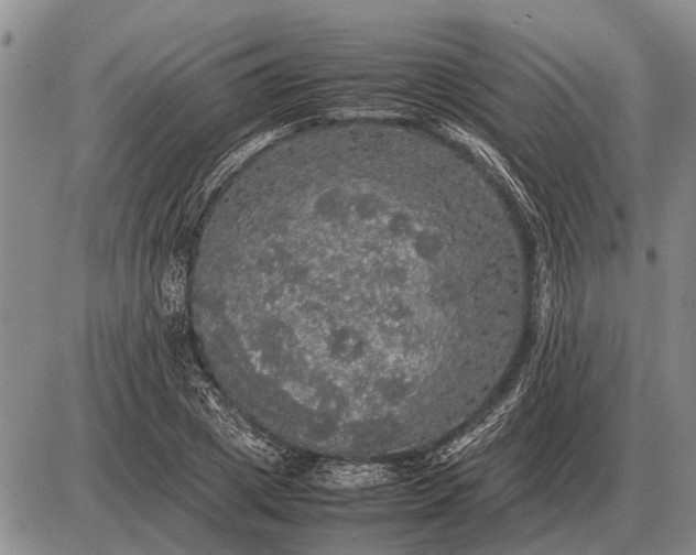 X0000085270833200703231739