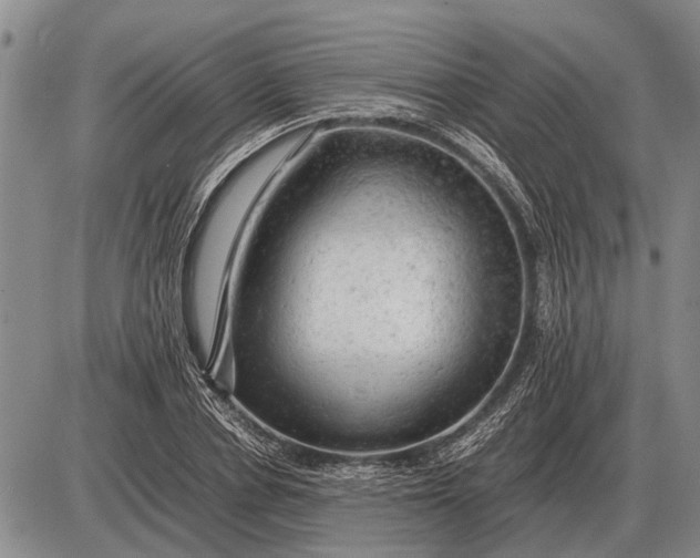 X0000085270834200703231739