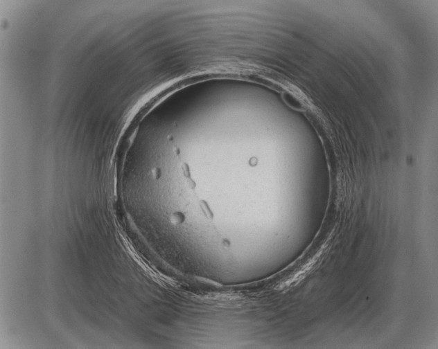 X0000085270838200703231739