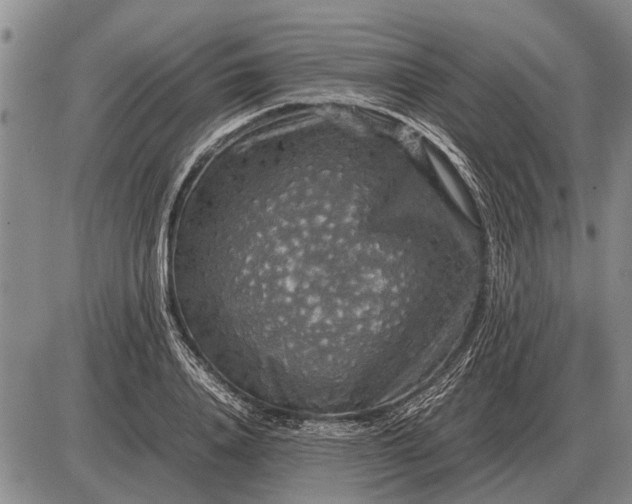 X0000085270840200703231739