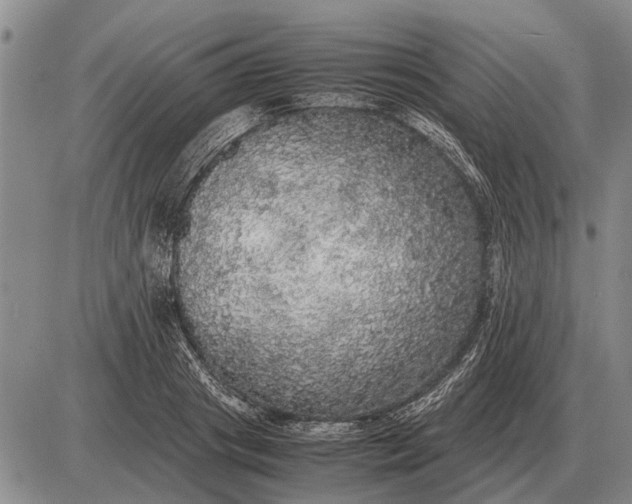 X0000085270841200703231739