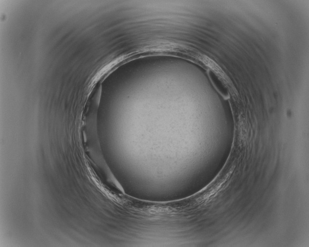 X0000085270842200703231739