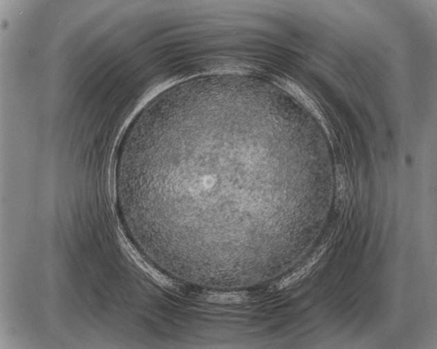 X0000085270843200703231739