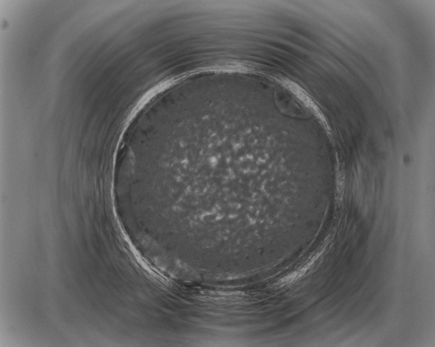 X0000085270845200703231739