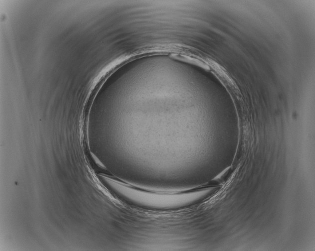 X0000085270846200703231739